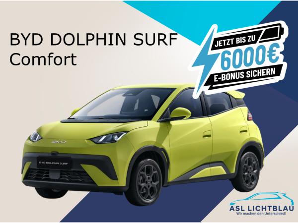 BYD DOLPHIN SURF
